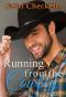 [Cami's Snow Valley Romance 03] • Running From the Cowboy · Spring in Snow Valley Romance